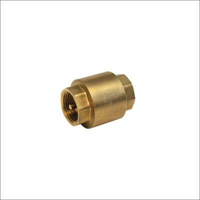 Brass-Spring-Check-Valve-BSP-Parallel-Female-Ends