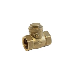 Brass-Swing-Check-Valve-BSP-Parallel-Female-Female-Ends