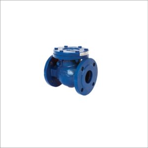Cast-Iron-PN16-Flanged-Swing-Check-Valve