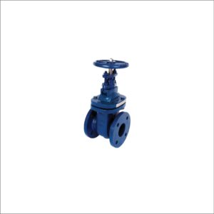 Cast-Iron-Table-E-&-D-Flanged-Gate-Valve